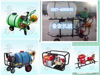 高效率防除治病蟲打藥機(jī) 背負(fù)式高壓噴霧器助力現(xiàn)代農(nóng)業(yè)